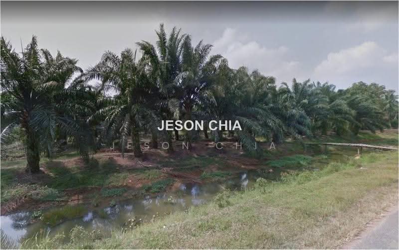 Agricultural Land for Sale in Banting (Selangor) - Jeson Chia - PropertyGuru.com.my