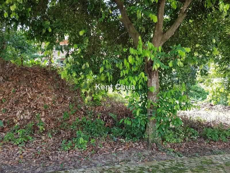 Tanah Banglo untuk Dijual di Country Heights Damansara (Kuala Lumpur) - Kent Chua - PropertyGuru.com.my