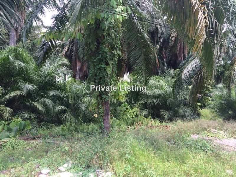 Industrial Land for Sale in jenjarom (Telok Panglima Garang) - Edwin Low - PropertyGuru.com.my