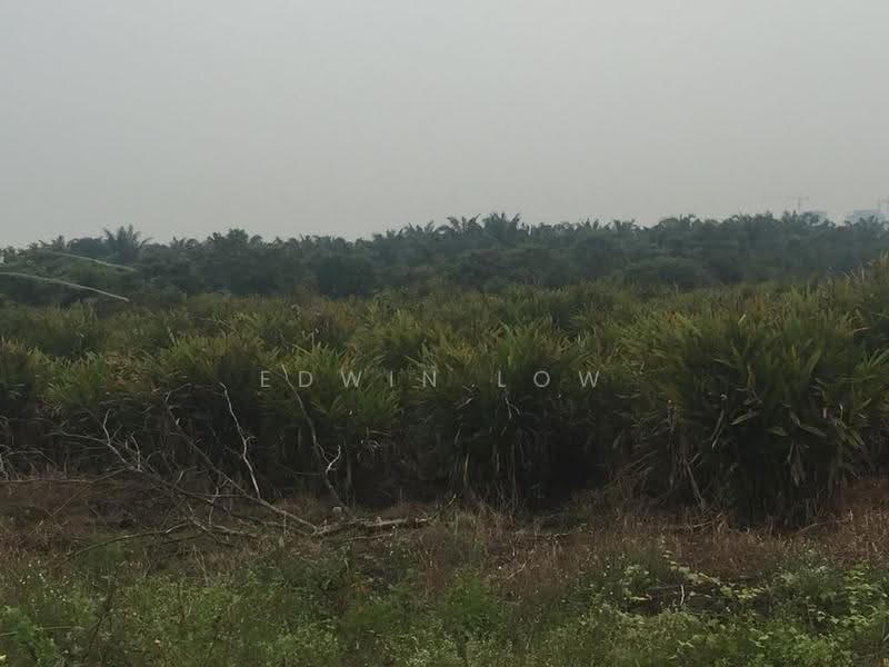Industrial Land for Sale in jenjarom (Telok Panglima Garang) - Edwin Low - Exterior - PropertyGuru.com.my