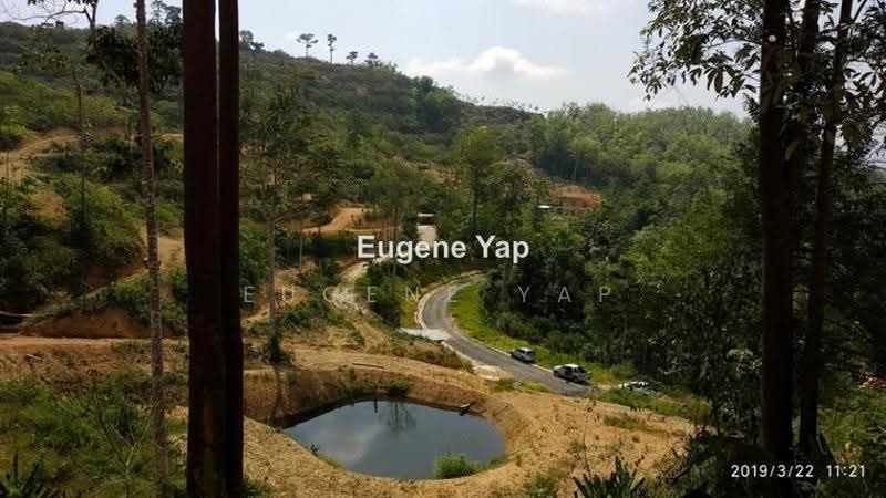 Tanah Pertanian untuk Dijual di Karak (Pahang) - Eugene Yap - PropertyGuru.com.my
