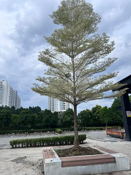 Commercial Bungalow for Rent in Jade Hills (Kajang) - AJ Foo - Exterior - PropertyGuru.com.my