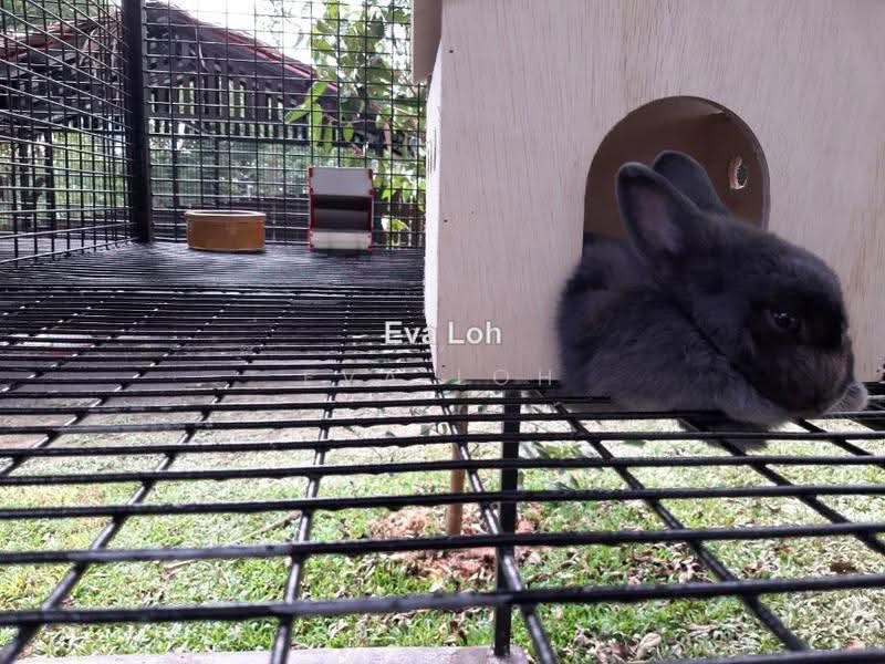 Condominium for Sale at Nidoz Residences @ Desa Petaling - Eva Loh - PropertyGuru.com.my