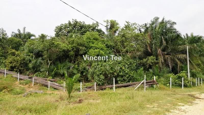 Agricultural Land for Sale in Bestari Jaya, Ijok (Kuala Selangor) - Vincent Tee - PropertyGuru.com.my