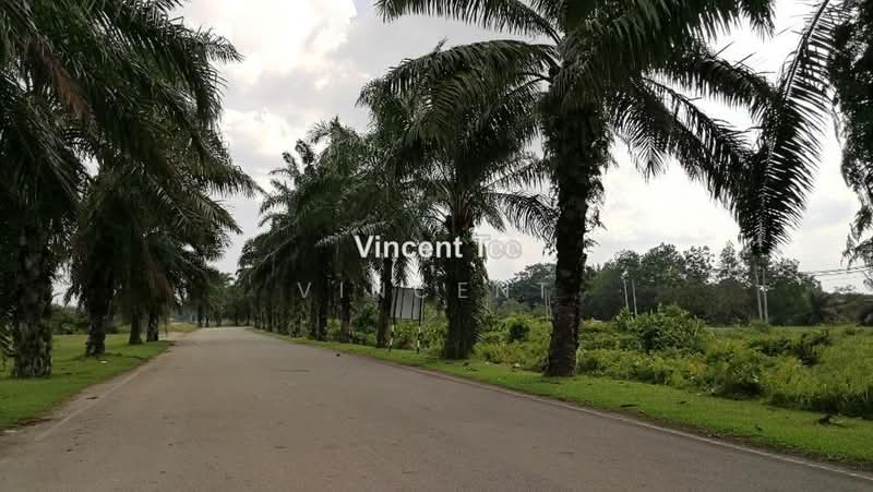 Agricultural Land for Sale in Bestari Jaya, Ijok (Kuala Selangor) - Vincent Tee - PropertyGuru.com.my