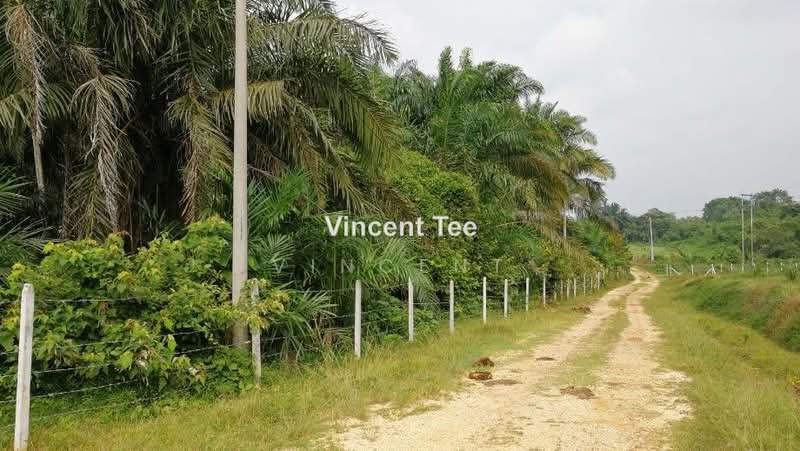 Agricultural Land for Sale in Bestari Jaya, Ijok (Kuala Selangor) - Vincent Tee - PropertyGuru.com.my