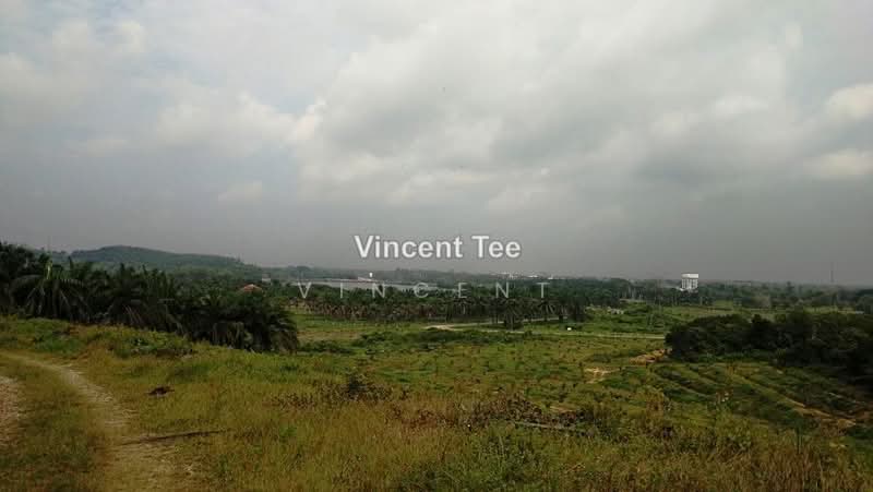 Agricultural Land for Sale in Bestari Jaya, Ijok (Kuala Selangor) - Vincent Tee - PropertyGuru.com.my