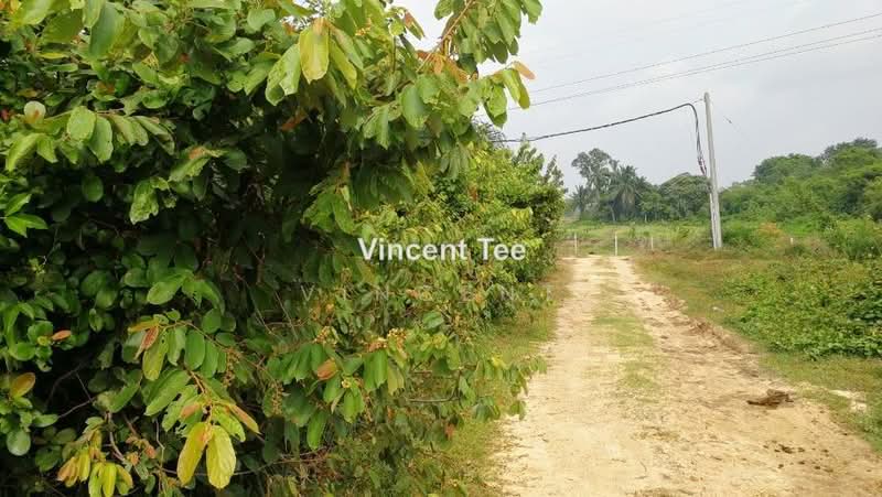 Agricultural Land for Sale in Bestari Jaya, Ijok (Kuala Selangor) - Vincent Tee - PropertyGuru.com.my