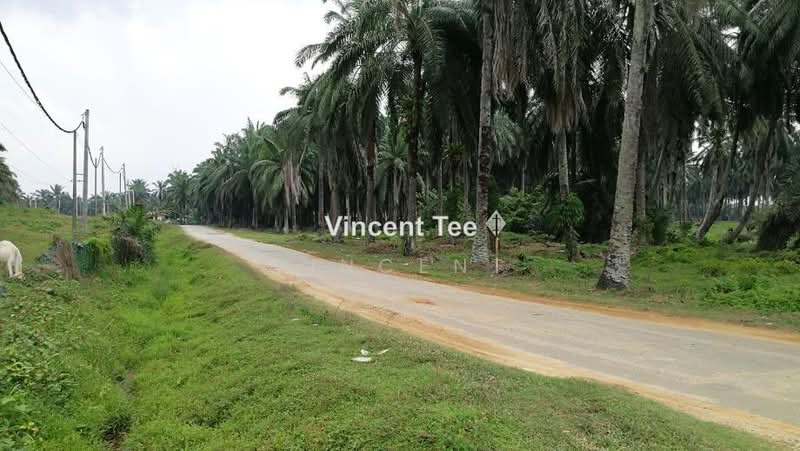 Agricultural Land for Sale in Bestari Jaya, Ijok (Kuala Selangor) - Vincent Tee - PropertyGuru.com.my