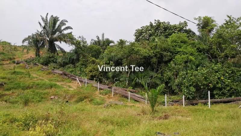Agricultural Land for Sale in Bestari Jaya, Ijok (Kuala Selangor) - Vincent Tee - PropertyGuru.com.my