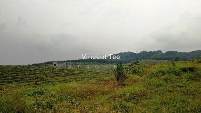 Agricultural Land for Sale in Bestari Jaya, Ijok (Kuala Selangor) - Vincent Tee - PropertyGuru.com.my