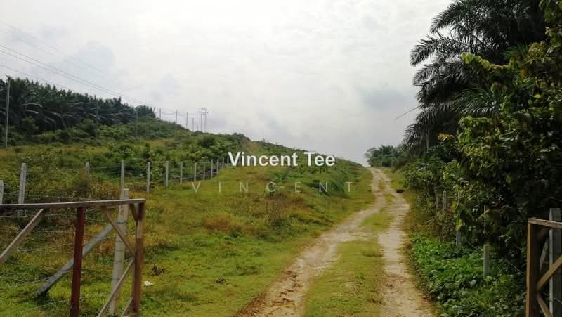 Agricultural Land for Sale in Bestari Jaya, Ijok (Kuala Selangor) - Vincent Tee - PropertyGuru.com.my