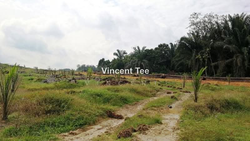 Agricultural Land for Sale in Bestari Jaya, Ijok (Kuala Selangor) - Vincent Tee - PropertyGuru.com.my