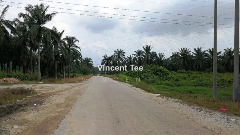Agricultural Land for Sale in Bestari Jaya, Ijok (Kuala Selangor) - Vincent Tee - PropertyGuru.com.my