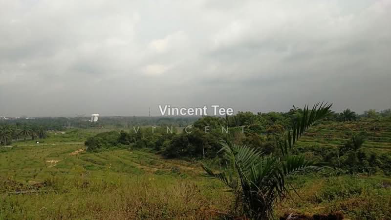 Agricultural Land for Sale in Bestari Jaya, Ijok (Kuala Selangor) - Vincent Tee - PropertyGuru.com.my