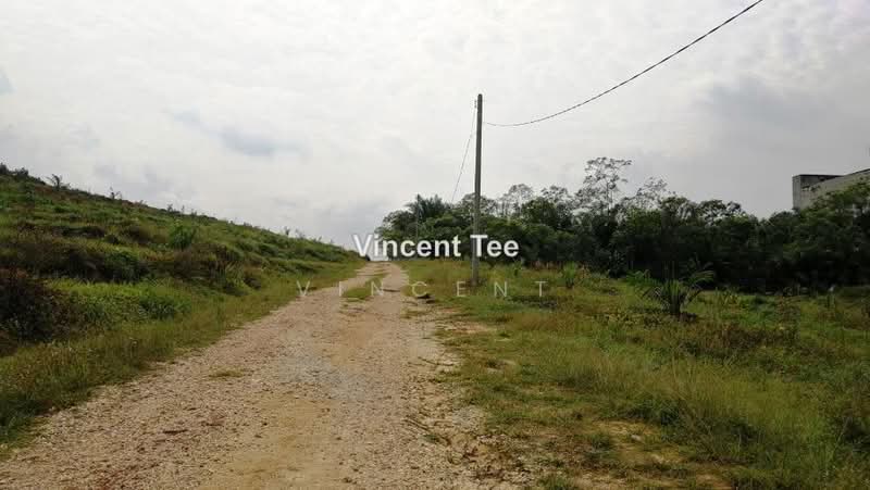Agricultural Land for Sale in Bestari Jaya, Ijok (Kuala Selangor) - Vincent Tee - PropertyGuru.com.my