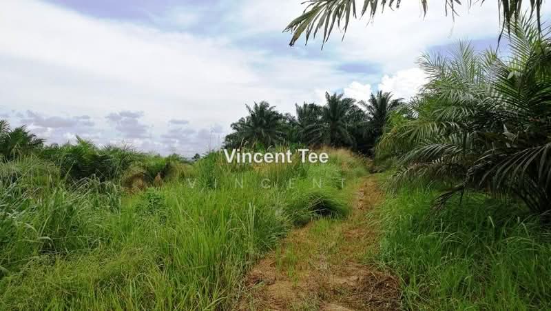 Agricultural Land for Sale in Batu Pahat (Yong Peng) - Vincent Tee - PropertyGuru.com.my
