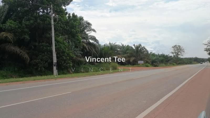 Agricultural Land for Sale in Batu Pahat (Yong Peng) - Vincent Tee - PropertyGuru.com.my