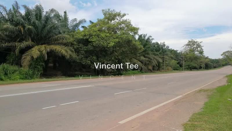 Agricultural Land for Sale in Batu Pahat (Yong Peng) - Vincent Tee - PropertyGuru.com.my