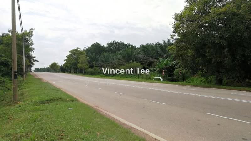 Agricultural Land for Sale in Batu Pahat (Yong Peng) - Vincent Tee - PropertyGuru.com.my