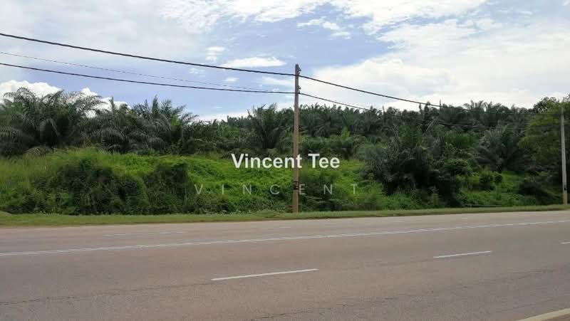 Agricultural Land for Sale in Batu Pahat (Yong Peng) - Vincent Tee - PropertyGuru.com.my