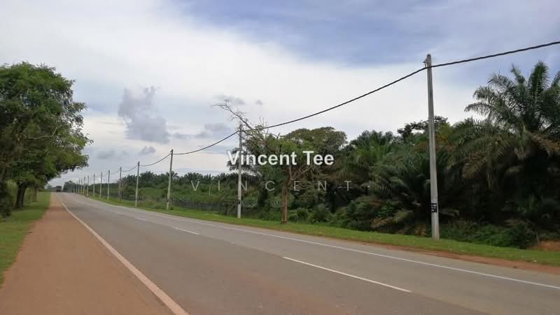 Agricultural Land for Sale in Batu Pahat (Yong Peng) - Vincent Tee - PropertyGuru.com.my