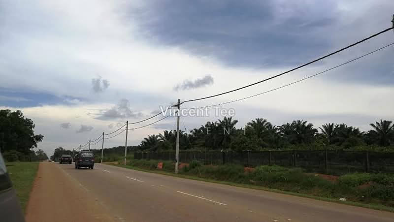 Agricultural Land for Sale in Batu Pahat (Yong Peng) - Vincent Tee - PropertyGuru.com.my