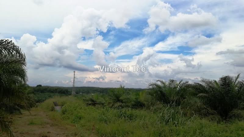 Agricultural Land for Sale in Batu Pahat (Yong Peng) - Vincent Tee - PropertyGuru.com.my