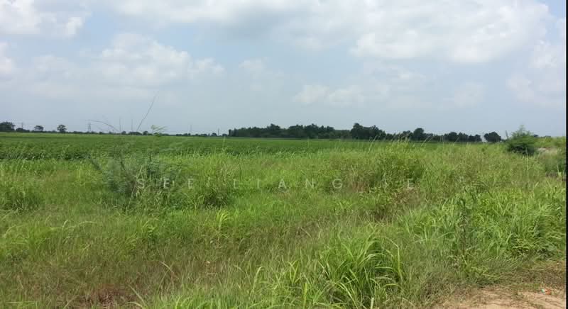 Industrial Land for Sale in Semenyih (Selangor) - See Liang Te - PropertyGuru.com.my
