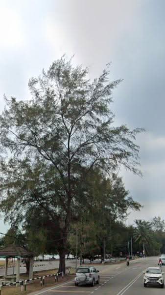 Residential Land for Sale in Jalan Pantai (Port Dickson) - Kai Shwen Lai - PropertyGuru.com.my