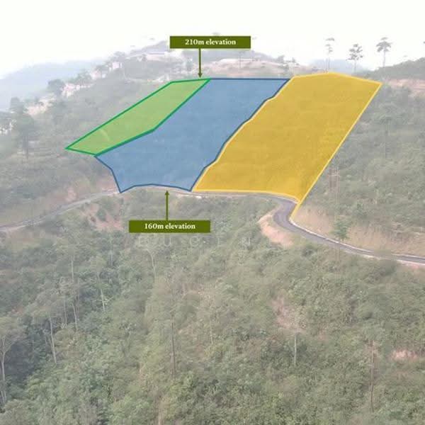 Agricultural Land for Sale in Karak (Pahang) - Eugene Yap - PropertyGuru.com.my