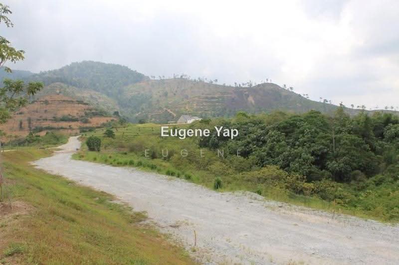 Agricultural Land for Sale in Karak (Pahang) - Eugene Yap - PropertyGuru.com.my