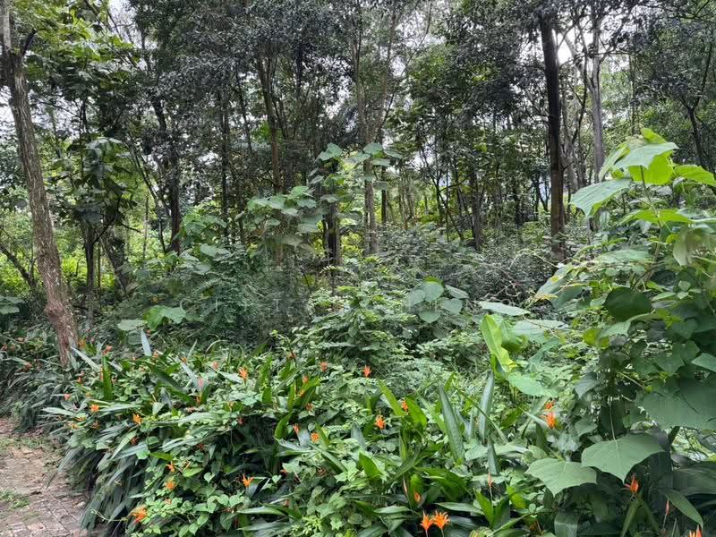 Bungalow Land for Sale in Taman Tunku (Bukit Tunku (Kenny Hills)) - Citta Cheng - PropertyGuru.com.my