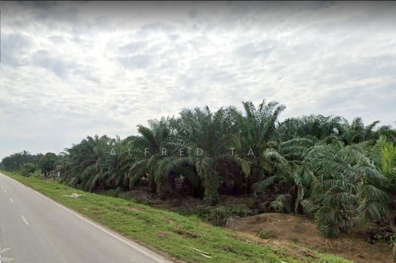 Agricultural Land for Sale in Bestari Jaya (Ijok) - Alfred Tan - PropertyGuru.com.my