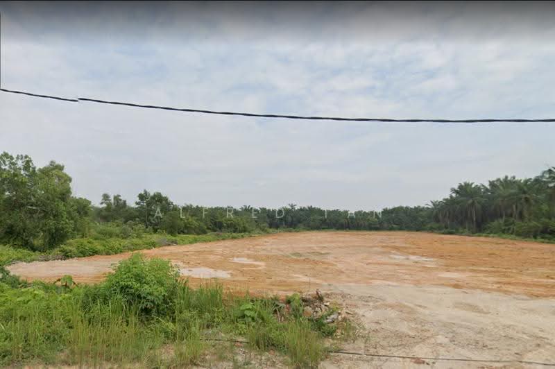 Agricultural Land for Sale in Bestari Jaya (Ijok) - Alfred Tan - PropertyGuru.com.my