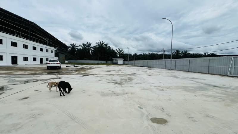 Kilang untuk Dijual di Telok Panglima Garang (Selangor) - Cannice You - PropertyGuru.com.my