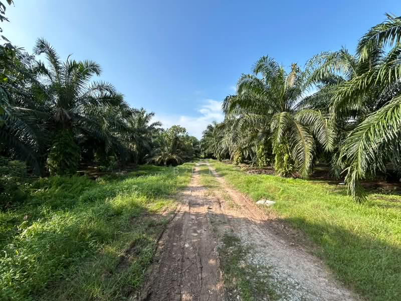 Agricultural Land for Rent in Taman Sijangkang Jaya (Telok Panglima Garang) - Ben Lor - PropertyGuru.com.my