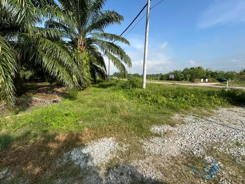 Agricultural Land for Rent in Taman Sijangkang Jaya (Telok Panglima Garang) - Ben Lor - PropertyGuru.com.my