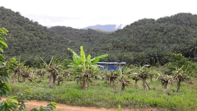 For Sale - semenyih land for sale