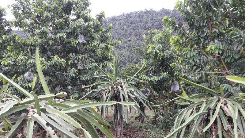 For Sale - semenyih land for sale