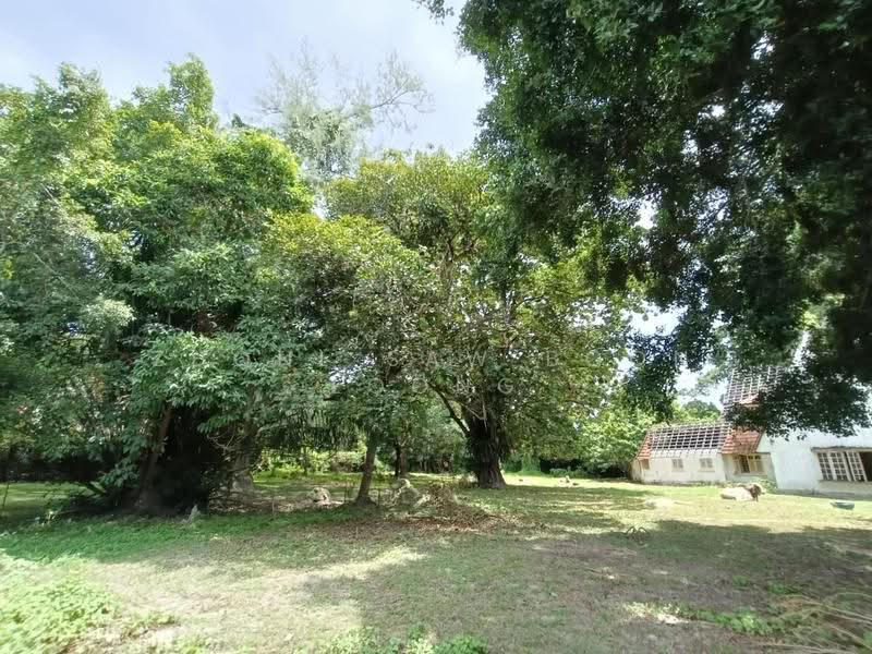 Bungalow House for Sale in Pulau Tikus, Western Avenue (Pulau Tikus) - Zhonl Saw Boon Loong - Exterior - PropertyGuru.com.my
