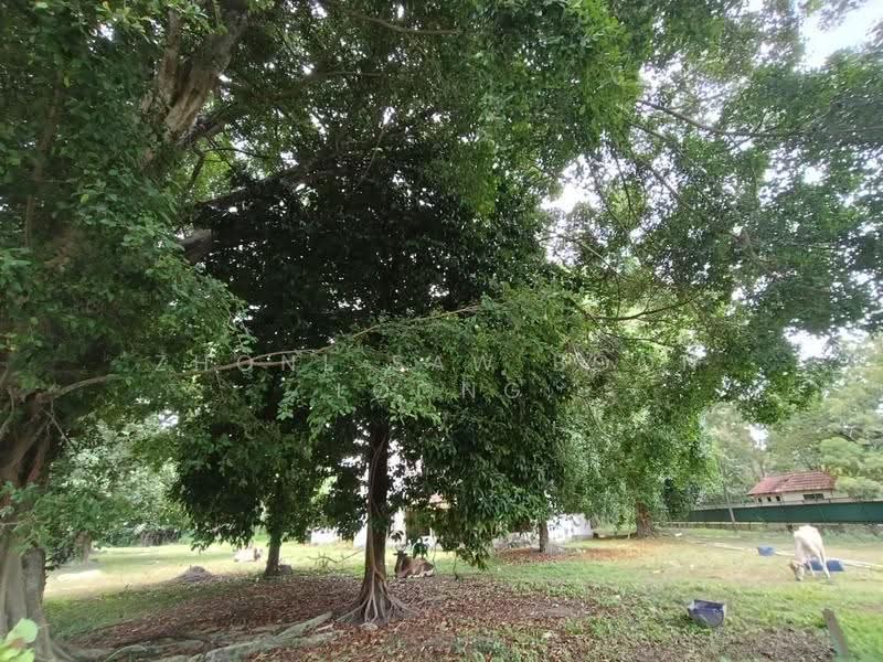 Bungalow House for Sale in Pulau Tikus, Western Avenue (Pulau Tikus) - Zhonl Saw Boon Loong - Exterior - PropertyGuru.com.my