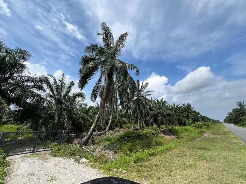 Tanah Perindustrian untuk Disewa di Kampung Teluk Panglima Garang (Telok Panglima Garang) - Yap Chew Ying - PropertyGuru.com.my