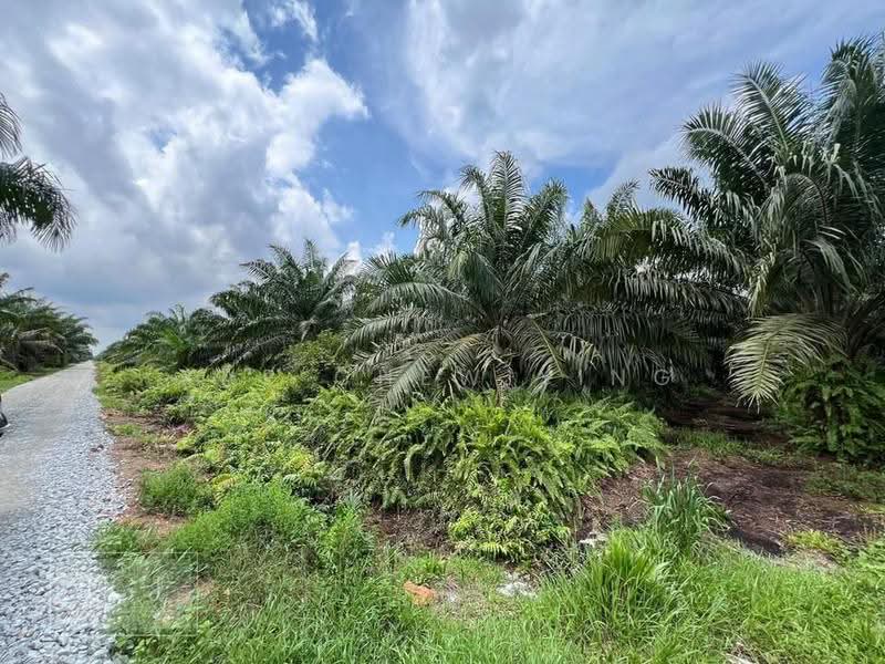 Tanah Perindustrian untuk Disewa di Kampung Teluk Panglima Garang (Telok Panglima Garang) - Yap Chew Ying - PropertyGuru.com.my