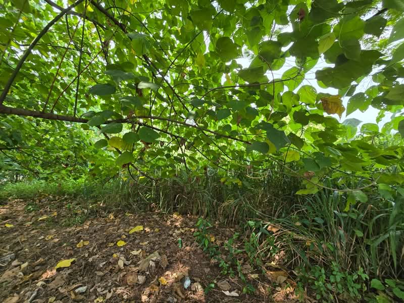 Bungalow Land for Sale in Mutiara Damansara (Selangor) - Kent Chua - Exterior - PropertyGuru.com.my