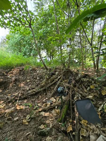 Bungalow Land for Sale in Mutiara Damansara (Selangor) - Kent Chua - Exterior - PropertyGuru.com.my