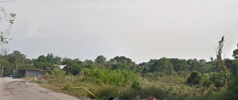Agricultural Land for Sale in Sungai Lalang Near Honda 4s Centre , Miel Industry (Sungai Petani) - Derrick Ng - PropertyGuru.com.my