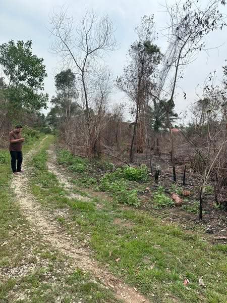 Residential Land for Sale in Kuala Nerus (Kuala Terengganu) - C C Khor - PropertyGuru.com.my