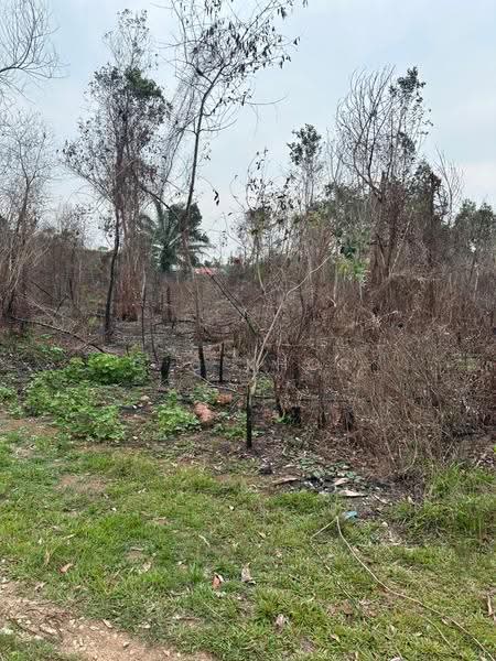 Residential Land for Sale in Kuala Nerus (Kuala Terengganu) - C C Khor - PropertyGuru.com.my