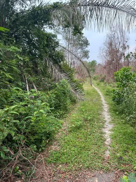 Residential Land for Sale in Kuala Nerus (Kuala Terengganu) - C C Khor - PropertyGuru.com.my